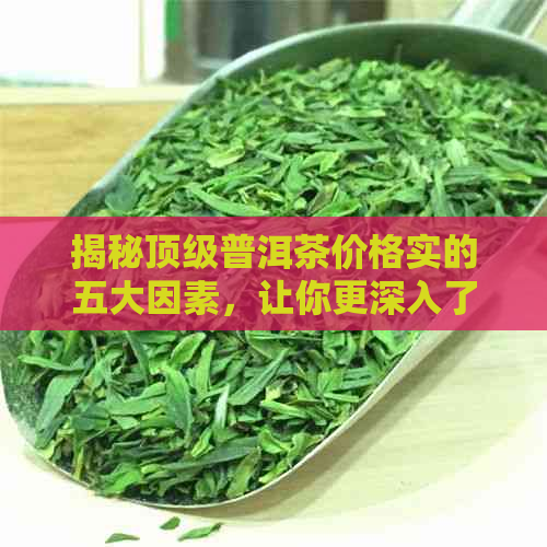 揭秘顶级普洱茶价格实的五大因素，让你更深入了解普洱茶的价值