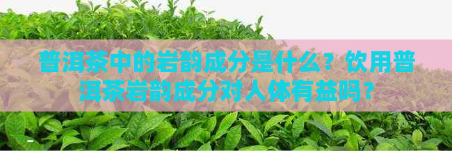 普洱茶中的岩韵成分是什么？饮用普洱茶岩韵成分对人体有益吗？