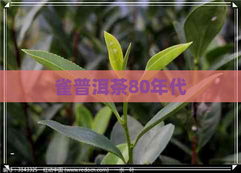 雀普洱茶80年代