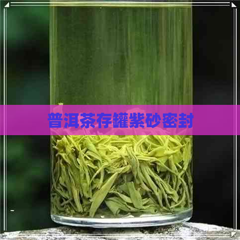 普洱茶存罐紫砂密封