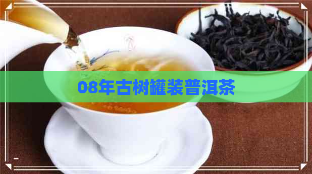 08年古树罐装普洱茶