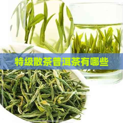 特级散茶普洱茶有哪些