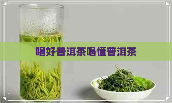 喝好普洱茶喝懂普洱茶