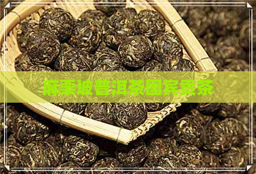 麻栗坡普洱茶国宾贡茶