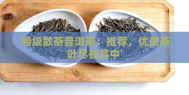 '特级散茶普洱茶：推荐，优质茶叶尽在其中'