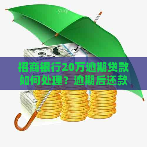 招商银行20万逾期贷款如何处理？逾期后还款步骤和解决方案全面解析