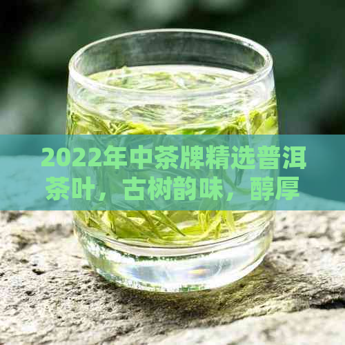 2022年中茶牌精选普洱茶叶，古树韵味，醇厚口感，珍藏珍品