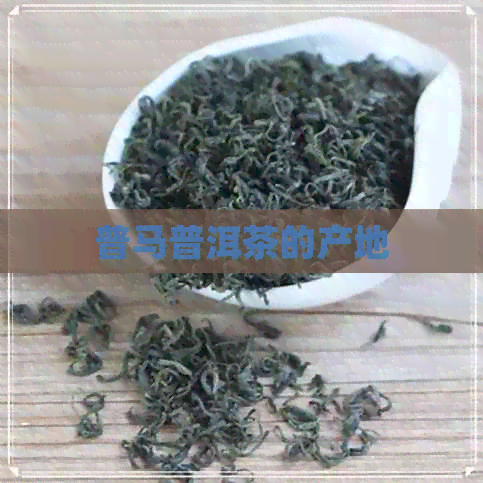 普马普洱茶的产地