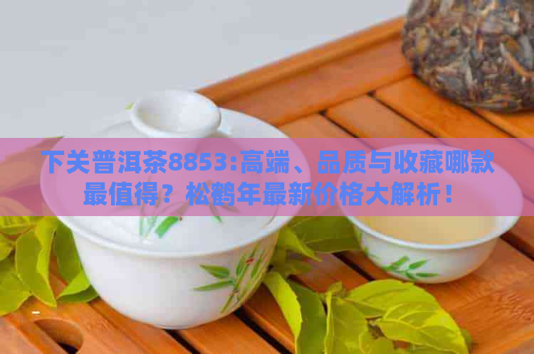 下关普洱茶8853:高端、品质与收藏哪款最值得？松鹤年最新价格大解析！