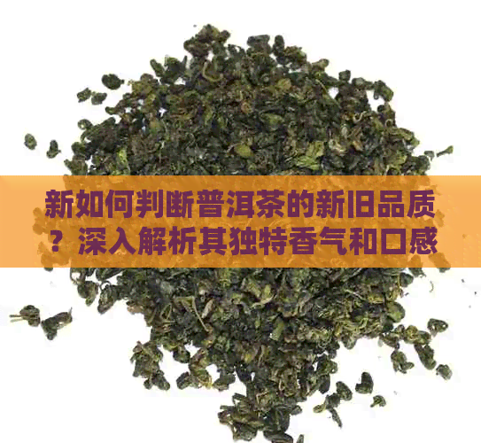 新如何判断普洱茶的新旧品质？深入解析其独特香气和口感差异