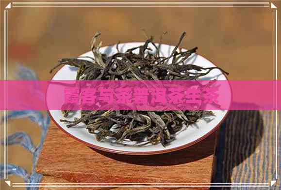 霞客与茶普洱茶生茶