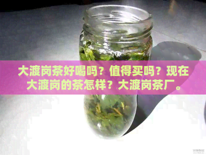 大渡岗茶好喝吗？值得买吗？现在大渡岗的茶怎样？大渡岗茶厂。