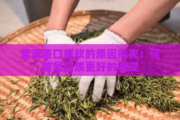 普洱茶口感软的原因探究：可能是品质更好的表现