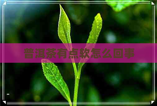 普洱茶有点软怎么回事