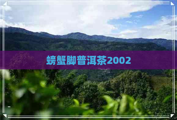 螃蟹脚普洱茶2002