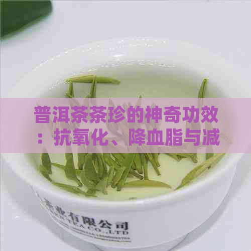 普洱茶茶珍的神奇功效：抗氧化、降血脂与减肥的有效途径