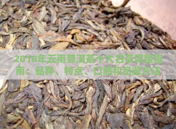 2018年云南普洱茶十大名茶完整指南：品种、特点、口感和品鉴方法一应俱全！