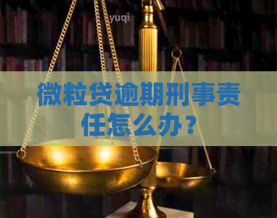 微粒贷逾期刑事责任怎么办？