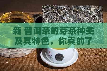 新 普洱茶的芽茶种类及其特色，你真的了解吗？