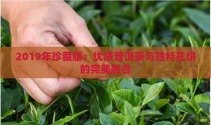 2019年珍藏版：优质普洱茶与独特花饼的完美融合