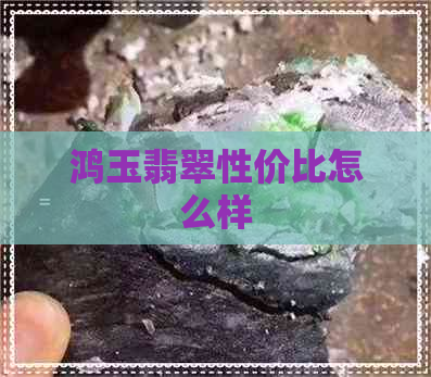 鸿玉翡翠性价比怎么样