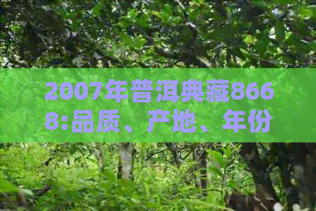 2007年普洱典藏8668:品质、产地、年份与收藏价值的全面解析与品鉴