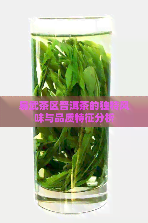 易武茶区普洱茶的独特风味与品质特征分析