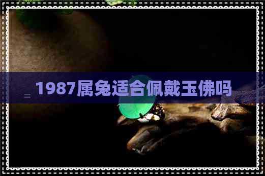 1987属兔适合佩戴玉佛吗