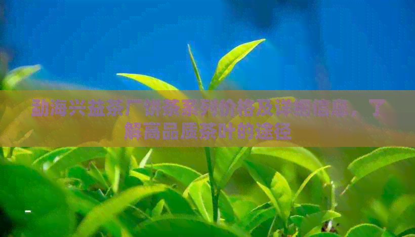 勐海兴益茶厂饼茶系列价格及详细信息，了解高品质茶叶的途径