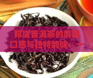 邦崴普洱茶的醇厚口感与独特韵味：一场品茶之旅