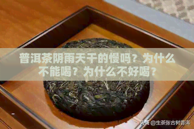 普洱茶阴雨天干的慢吗？为什么不能喝？为什么不好喝？