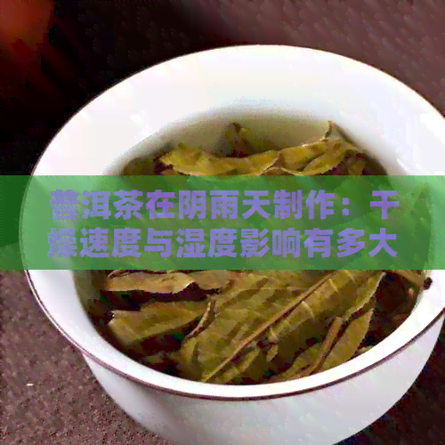 普洱茶在阴雨天制作：干燥速度与湿度影响有多大？探索普洱茶制作的天气因素