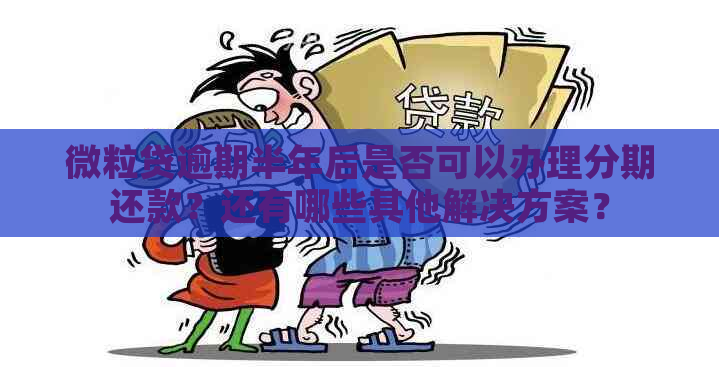 微粒贷逾期半年后是否可以办理分期还款？还有哪些其他解决方案？