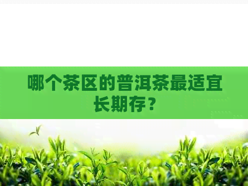 哪个茶区的普洱茶最适宜长期存？