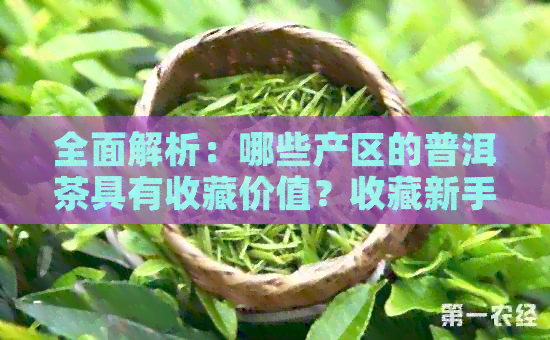 全面解析：哪些产区的普洱茶具有收藏价值？收藏新手必看！