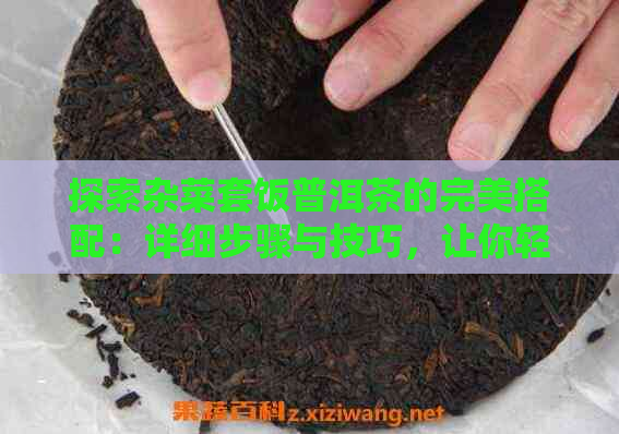 探索杂菜套饭普洱茶的完美搭配：详细步骤与技巧，让你轻松做出美味佳肴