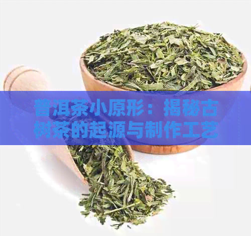 普洱茶小原形：揭秘古树茶的起源与制作工艺