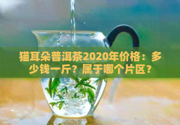 猫耳朵普洱茶2020年价格：多少钱一斤？属于哪个片区？