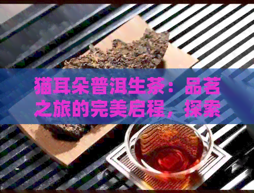 猫耳朵普洱生茶：品茗之旅的完美启程，探索独特风味与健益处