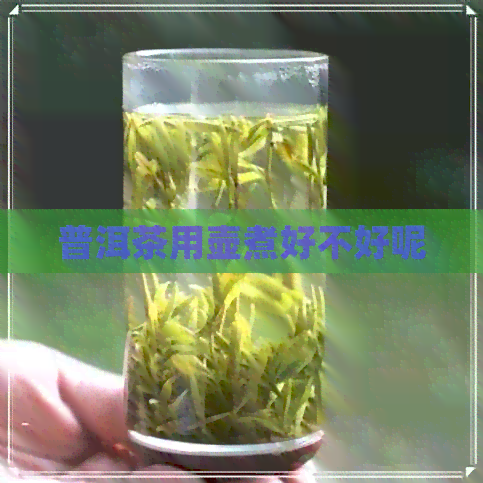 普洱茶用壶煮好不好呢