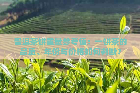 普洱茶饼重量参考值：一饼茶的品质、年份与价格如何判断？