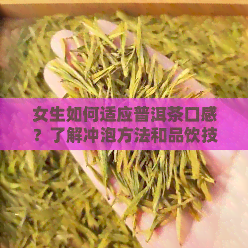 女生如何适应普洱茶口感？了解冲泡方法和品饮技巧，让你喝出好滋味！