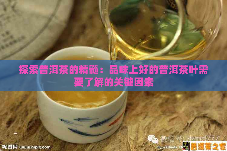 探索普洱茶的精髓：品味上好的普洱茶叶需要了解的关键因素