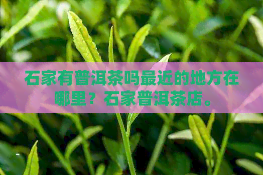 石家有普洱茶吗最近的地方在哪里？石家普洱茶店。