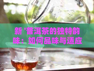 新 '普洱茶的独特韵味：如何品味与适应它的苦涩？'