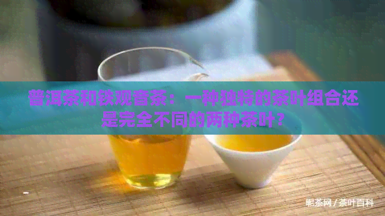 普洱茶和铁观音茶：一种独特的茶叶组合还是完全不同的两种茶叶？