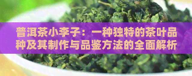 普洱茶小李子：一种独特的茶叶品种及其制作与品鉴方法的全面解析