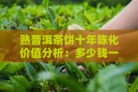 熟普洱茶饼十年陈化价值分析：多少钱一个？