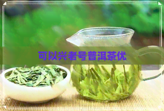 可以兴老号普洱茶优