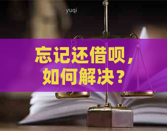 忘记还借呗，如何解决？